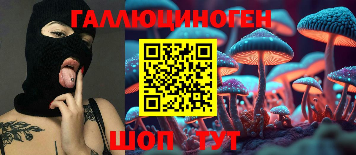 Елабуга  Галлюциногенные грибы Psilocybine cubensis  Вход с VPN 